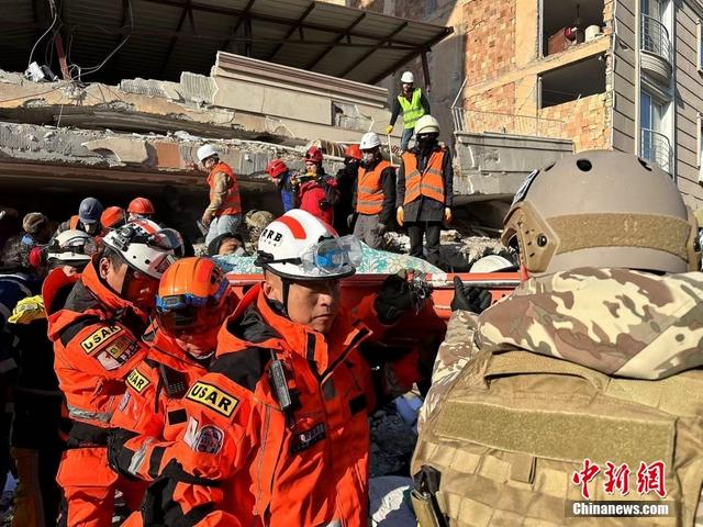 白猫被同类欺负所以要染色保护？真相让人哭笑不得