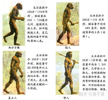人类的底层代码中，藏着这些离谱的bug