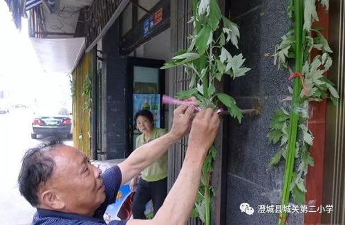端午节不是为屈原而生的？上古端午的真正模样