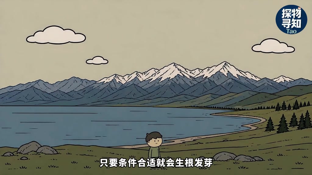 山上挖个池塘不放鱼，十年后会有鱼吗？答案让人意想不到