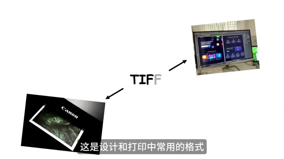 图片格式大全：JPG、PNG、GIF、WebP、ICO、BMP、TIFF 到底有啥区别
