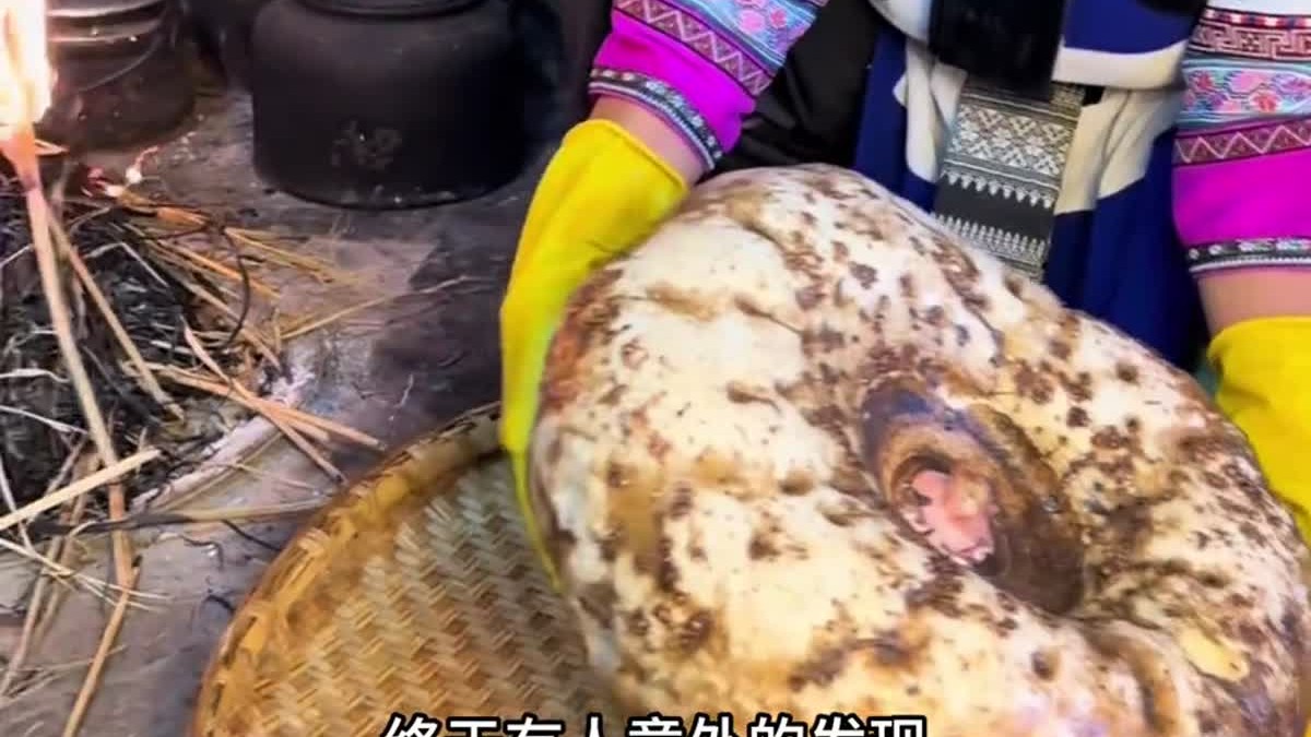 魔芋为什么要用草木灰处理？从扎嘴的块茎到Q弹食材