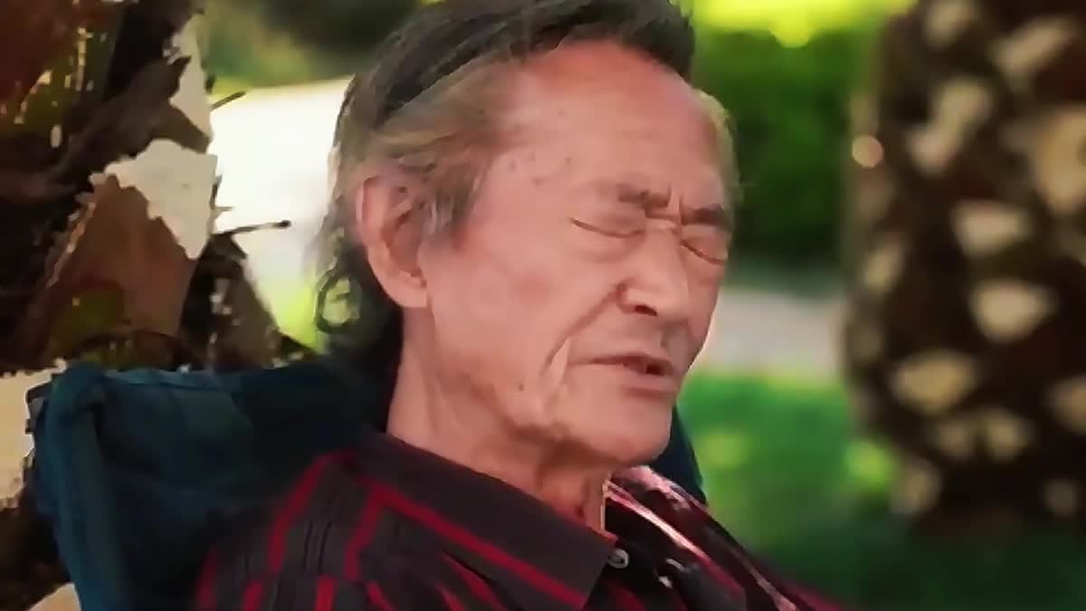 再见了媚大爷：应宝林和《陈翔六点半》里的那段青春