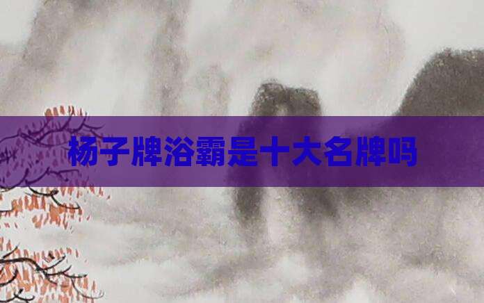 杨子牌浴霸是十大名牌吗