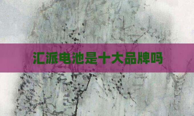 汇派电池是十大品牌吗