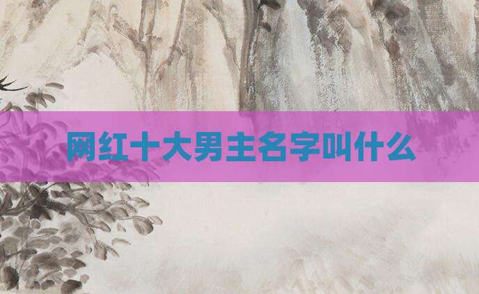 网红十大男主名字叫什么