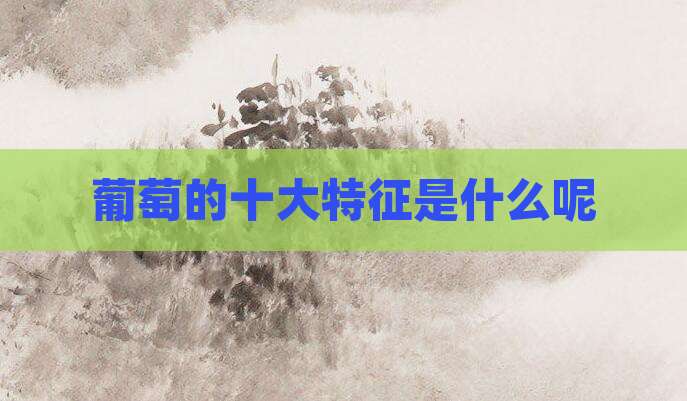 葡萄的十大特征是什么呢