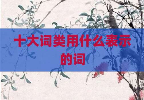 十大词类用什么表示的词