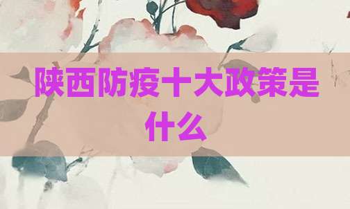 陕西防疫十大政策是什么