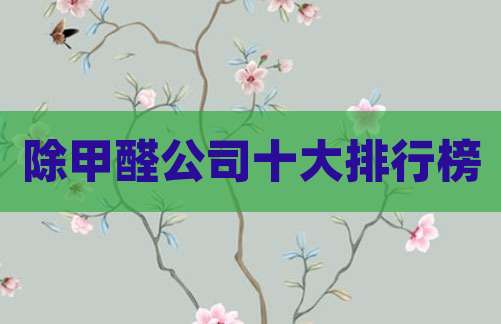 除甲醛公司十大排行榜