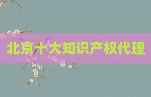 北京十大知识产权代理