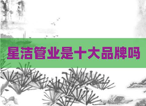星洁管业是十大品牌吗