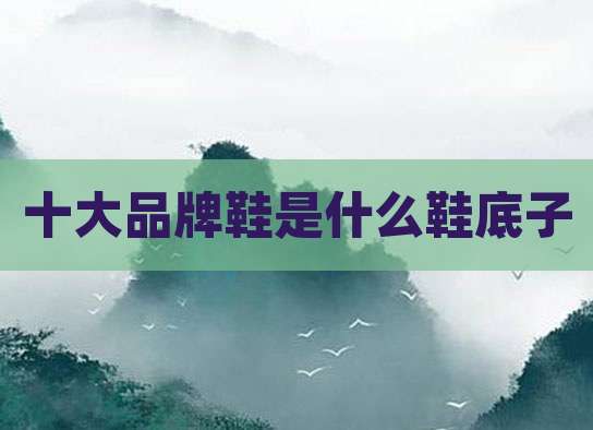 十大品牌鞋是什么鞋底子