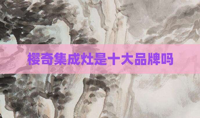 樱奇集成灶是十大品牌吗