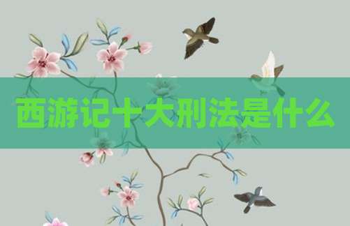 西游记十大刑法是什么