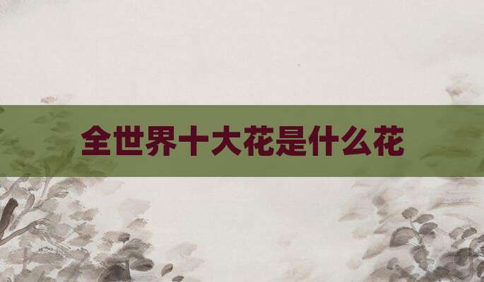 全世界十大花是什么花