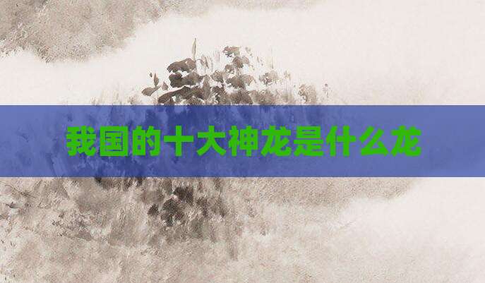 我国的十大神龙是什么龙