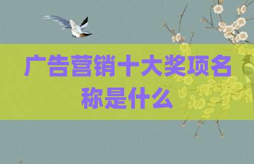 广告营销十大奖项名称是什么