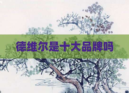 德维尔是十大品牌吗