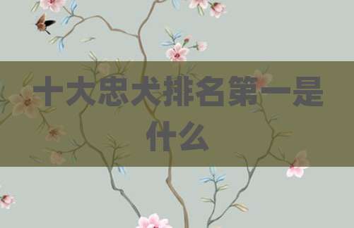 十大忠犬排名第一是什么