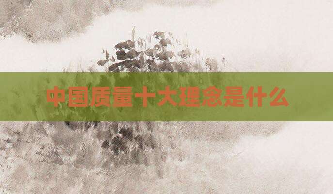中国质量十大理念是什么