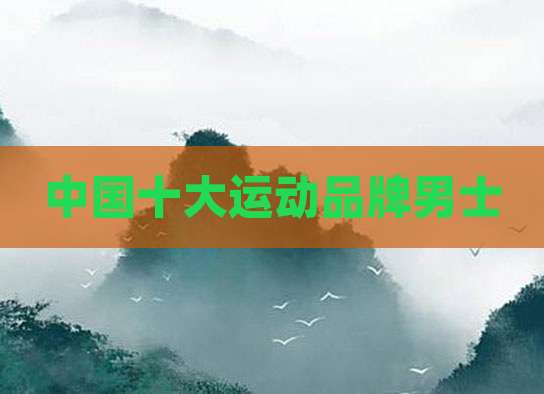 中国十大运动品牌男士