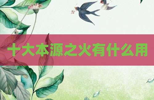 十大本源之火有什么用