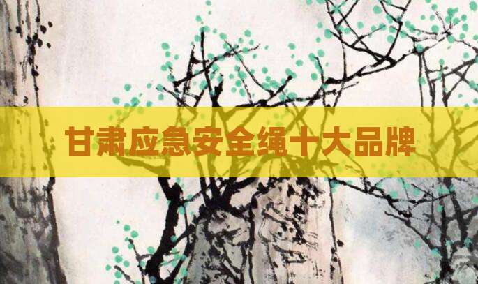甘肃应急安全绳十大品牌
