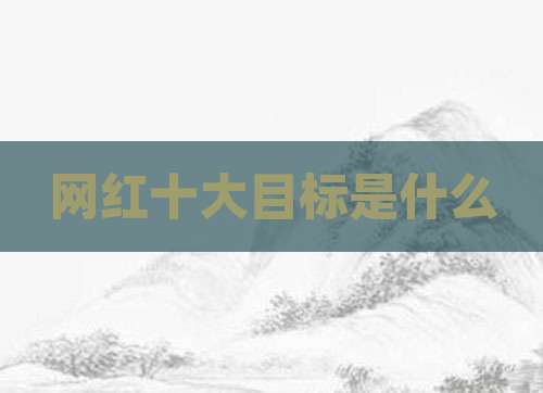 网红十大目标是什么