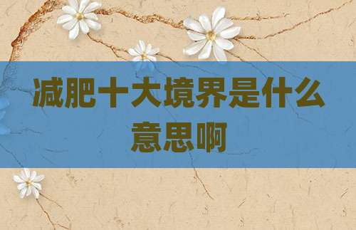 减肥十大境界是什么意思啊
