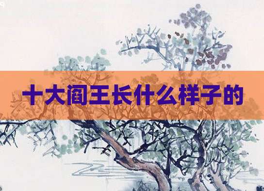 十大阎王长什么样子的