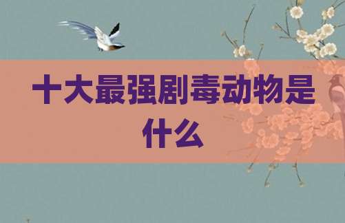十大最强剧毒动物是什么