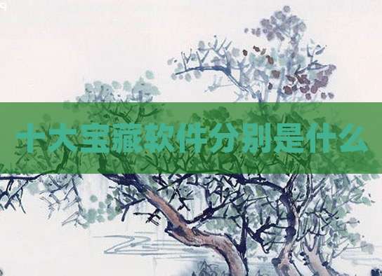 十大宝藏软件分别是什么