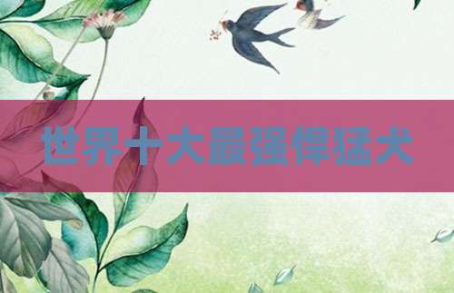 世界十大最强悍猛犬