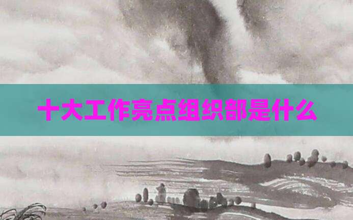 十大工作亮点组织部是什么