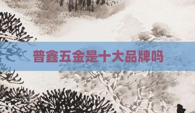 普鑫五金是十大品牌吗