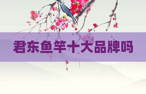 君东鱼竿十大品牌吗