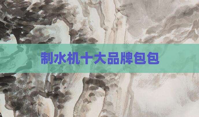 制水机十大品牌包包
