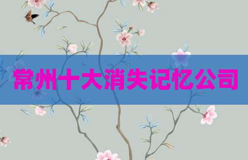 常州十大消失记忆公司