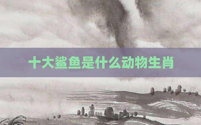 十大鲨鱼是什么动物生肖