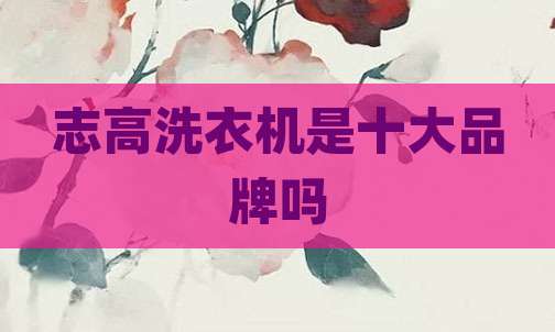 志高洗衣机是十大品牌吗