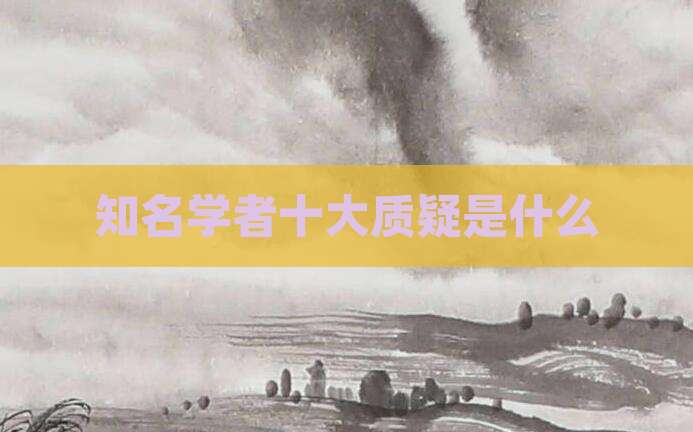 知名学者十大质疑是什么