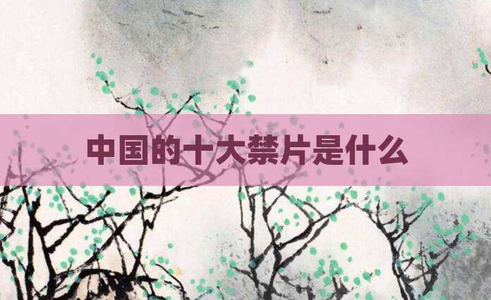 中国的十大禁片是什么