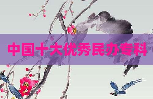 中国十大优秀民办专科