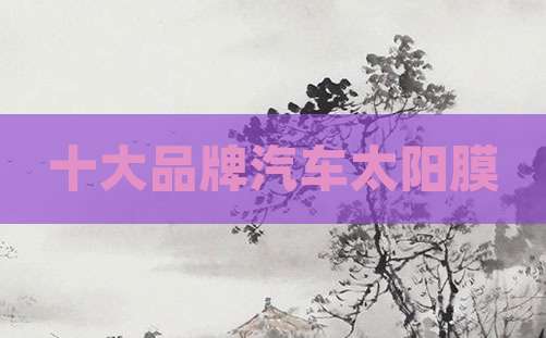十大品牌汽车太阳膜