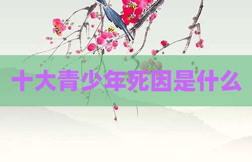 十大青少年死因是什么