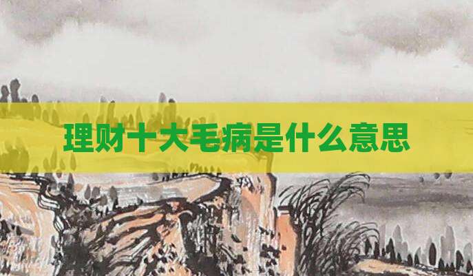 理财十大毛病是什么意思