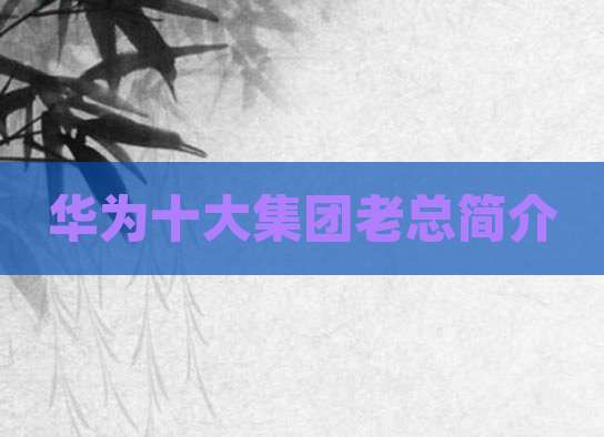 华为十大集团老总简介