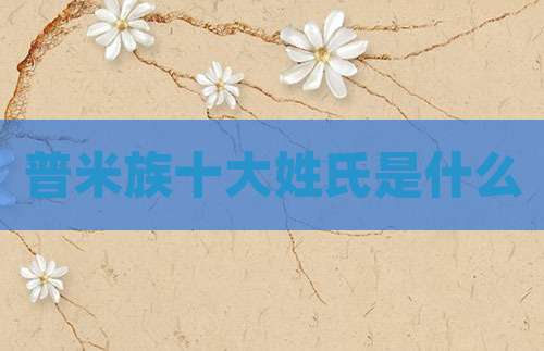 普米族十大姓氏是什么