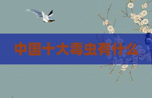 中国十大毒虫有什么